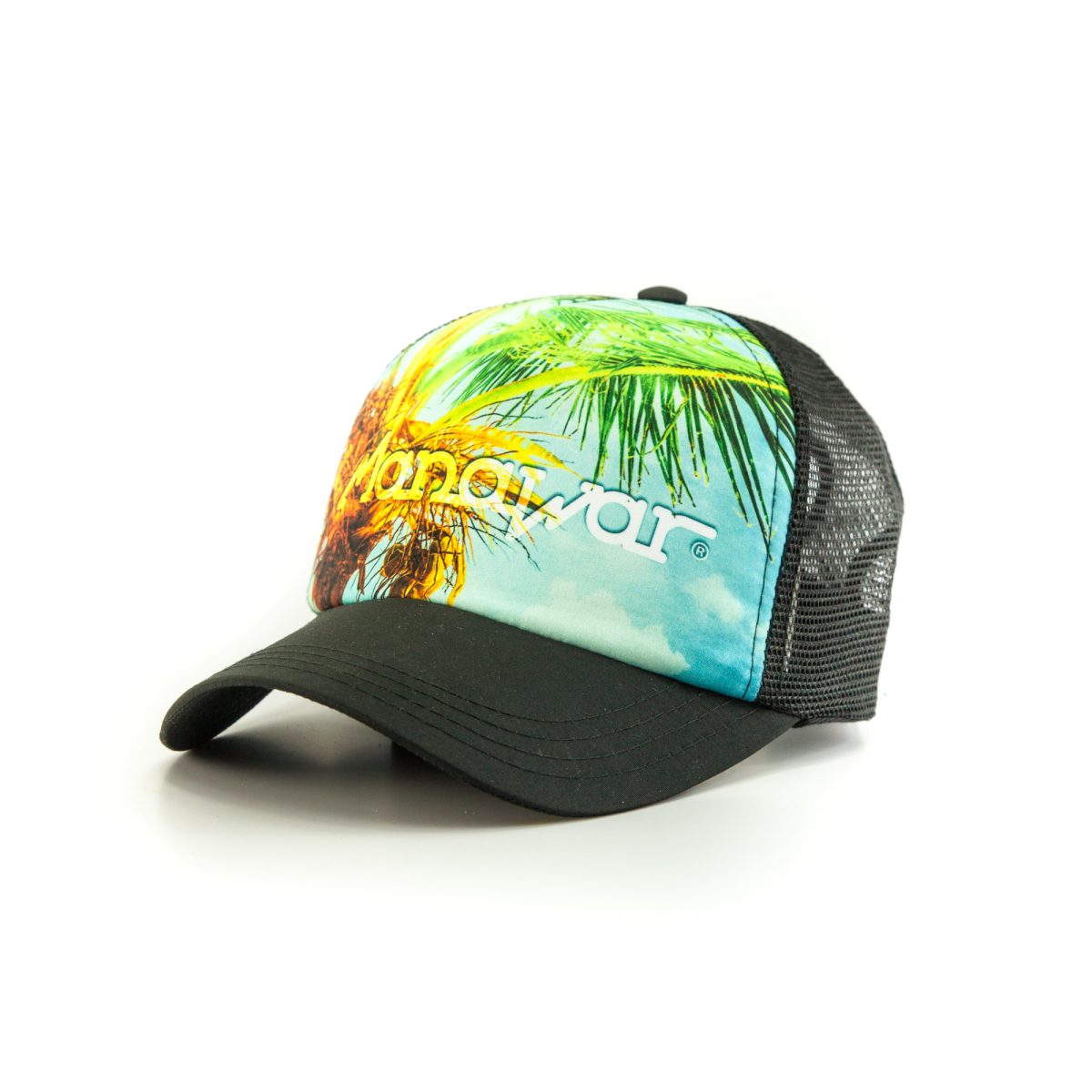PALM TREE